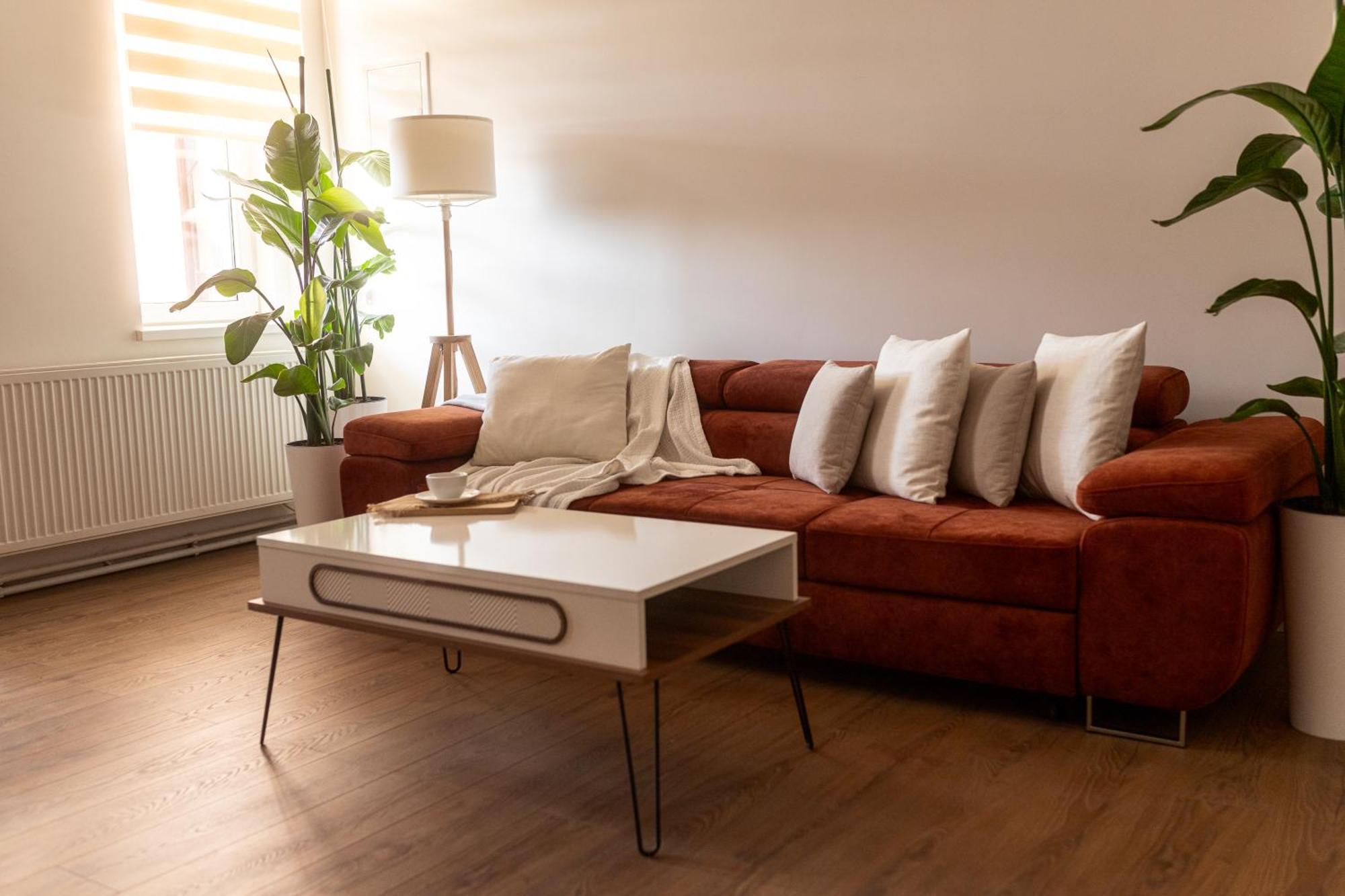Bleyer Haus Central Apartment Oradea Buitenkant foto